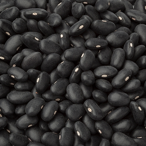 black turtle beans