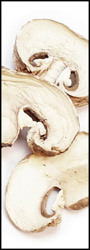 Mushrooms, dehydrated - 16 oz bulk bag
